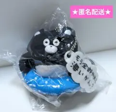 くまのまーくん　セリフ付き ぬいぐるみ　海行かん？　ガチャ　エブサン