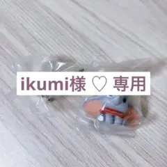 ikumi様 専用