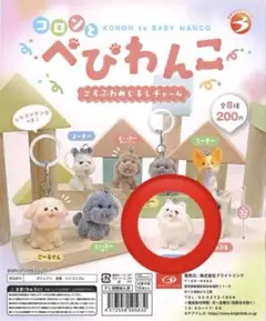 コロンとべびわんこ　ころふわめじるしチャーム　ぽめ