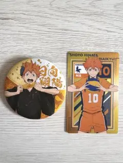 ハイキュー 烏野 日向翔陽 缶バッジ カードセット
