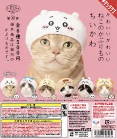かわいい かわいい ねこのかぶりもの ちいかわ