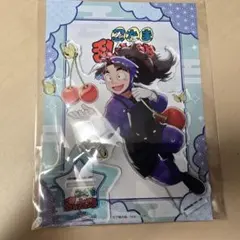 忍たま乱太郎 スイパラ 竹谷八左ヱ門 アクリルスタンド アクスタ