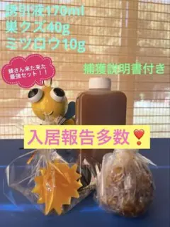 日本蜜蜂誘引液❣️入居報告毎年多数頂いております（写真2〜13）'26報告有‼️のサムネイル
