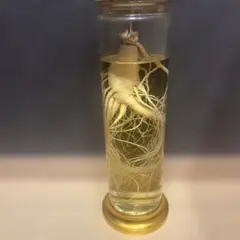 Item thumbnail for item 97d39420-8961-4fbf-8154-d9ef31f00479