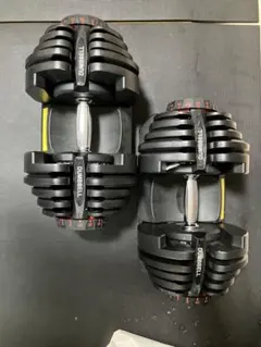 BOWFLEX ボウフレックス 可変式ダンベル 24kg×2 引取歓迎 動作良好 
