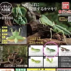 いきもの大図鑑 カマキリ 04 ナンベイマルムネカマキリ(ダーク) 新品