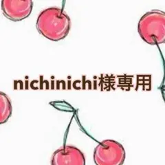 nichinichi様 リクエスト 2点 まとめ商品