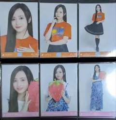 乃木坂46 生写真 福岡verコーデ　ライブTシャツ　井上和　コンプ