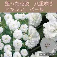 クイール様 リクエスト 3点 まとめ商品