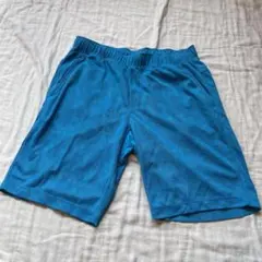 メッシュ素材 青 水色 Lサイズ ショートパンツ スポーツウェア