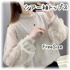 トップス　シアー袖　抜け感　立体ドット　ライトグレー　フェミニン　長袖　春　秋