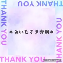 ＊＊みいたさま専用＊＊