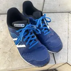 Item thumbnail for item 7dfad373-a268-4926-805e-f66cf9052cb0