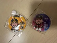 ソフトバンクホークス オスナ 若鷹ガチャ缶バッジ - メルカリ
