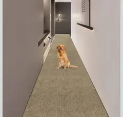 いくちゃん様 リクエスト 2点 まとめ商品