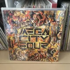 mega city four terribly sorry bob レコード Mega City Four – Terribly Sorry Bob – Vinyl (LP, Compilation