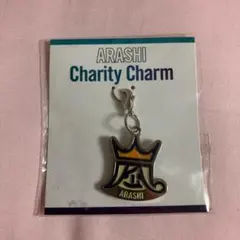 嵐 チャリティー チャーム 2011