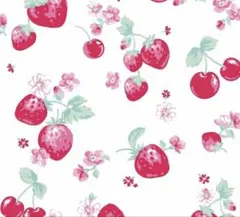 milkyL0ve様　専用出品