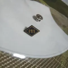 Item thumbnail for item a04e4d97-b2a2-4037-9526-b72ddb9044e6