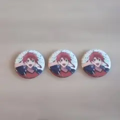 ✦*様 カラフルピーチ　じゃぱぱ　ファンミ缶バッジ