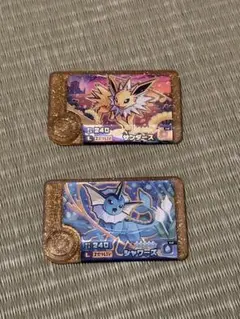 ポケモン フレンダ レガシーピック サンダース レジギガス
