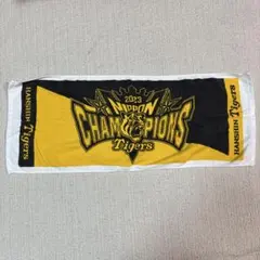 Item thumbnail for item d31fca40-1e58-496f-92cf-13a6a447fac7