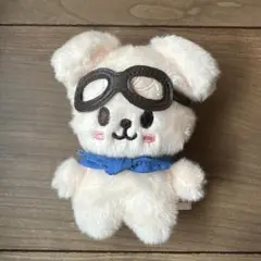 skz toyworld ぬいぐるみ　puppym SOFT TOY - PuppyM / Stray Kids『SKZOO POPUP STORE 2025