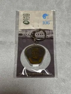 甲子園球場100周年記念 甲子園の土入りキーホルダーのサムネイル
