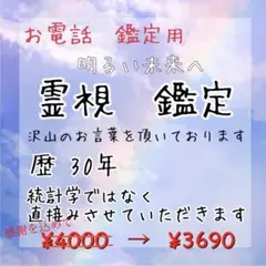 電話　本格霊視　占い　限定価格