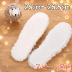 Item thumbnail for item 9d0d5c4a-1268-428e-8aa9-987f0060ecc7