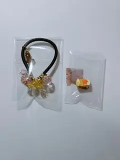 ディズニー ラプンツェル ランタン イヤリング ヘアゴム