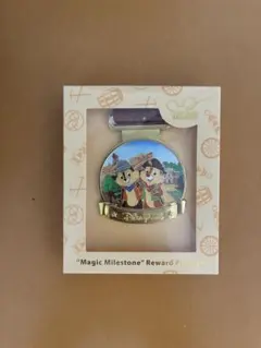 香港ディズニー マジックアクセス メダル チップとデール グリズリー