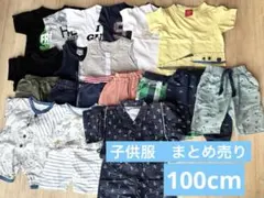 【値下げ中】子供服　保育園着　まとめ売り　19着　男の子　100cm 夏物