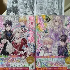 レンドフルール公式ビジュアルファンブック - メルカリ