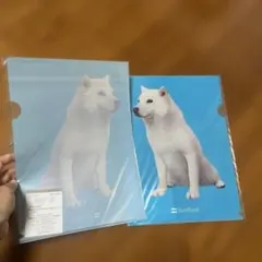 Item thumbnail for item 6ef31b39-bc69-461b-8c19-05aba5081317