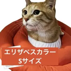 Item thumbnail for item da6b4d82-7044-4f6d-b460-87abf8139779