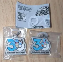 ポケモン30周年　メタルチャームマスコット　ゼニガメ　カメックス