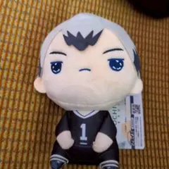 ハイキュー もちぴこぬいぐるみ 北信介