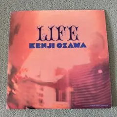 2026年最新】小沢健二 レコードの人気アイテム - メルカリ