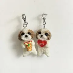 シーズーのチャーム