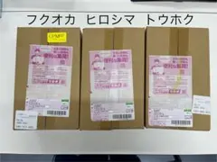 スカーレット＆バイオレット スペシャルBOX トウホク、ヒロシマ、フクオカ