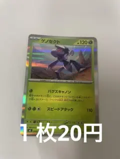 ゲノセクト R 008/080のサムネイル