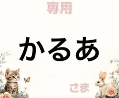 専用