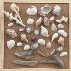 Item thumbnail for item df7b423b-0792-4dd4-b529-6c315e50015c