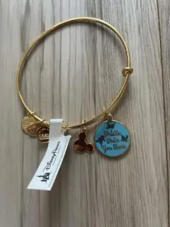 (新品未使用)ALEX AND ANI ブレスレット