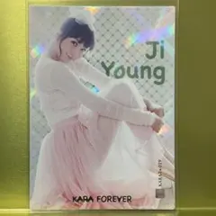 2026年最新】#韓国版KARAスターコレクションカード第2弾レアリティの