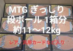 MTG 断捨離品 約6,000枚　段ボール80サイズぎっしり