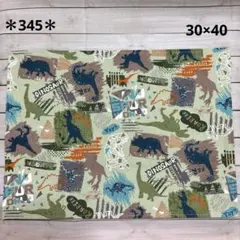 ＊345＊ハンドメイド♪ランチョンマット