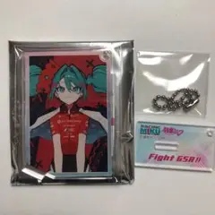 レーシングミク 2025 アクスタ アクリルスタンド 望月けい 初音ミク ⑤