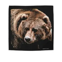 beams ビームス beamsJapan ビームスジャパン バンダナ 熊柄